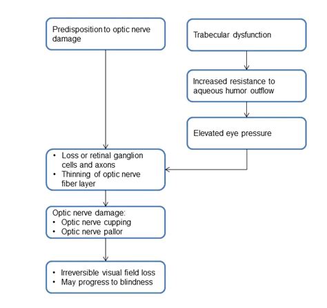 Primary Open Angle Glaucoma Europe American Academy Of Ophthalmology