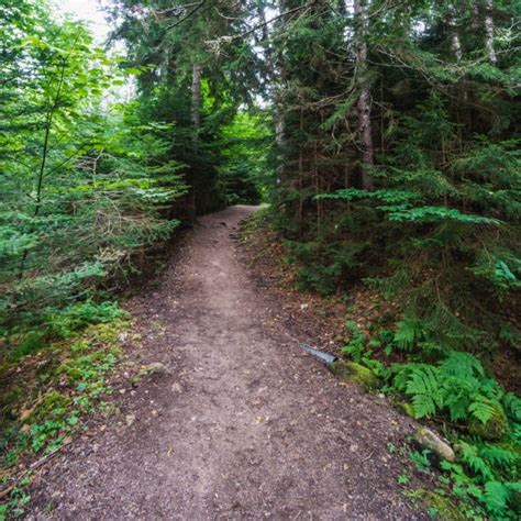 220 Fundy Trail Stock Photos Pictures And Royalty Free Images Istock