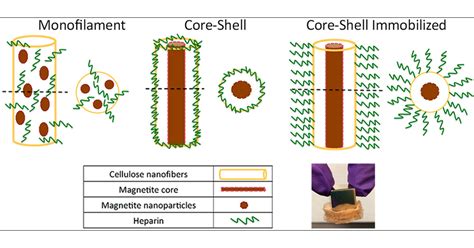 Synthesis of Heparin-Immobilized, Magnetically Addressable Cellulose ... 