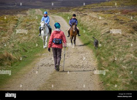 Walker And Riders Meet On Glaisdale Rigg North York Moors Stock Photo