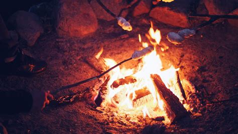 Campfire Photos, Download The BEST Free Campfire Stock Photos & HD Images