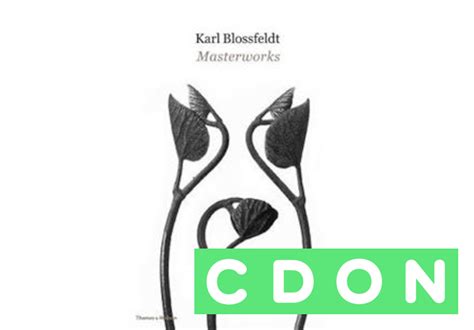 Karl Blossfeldt Masterworks Hansjörg Küster 9780500544754 Cdon