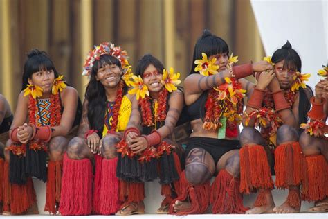 Comunidades Indigenas De Brasil