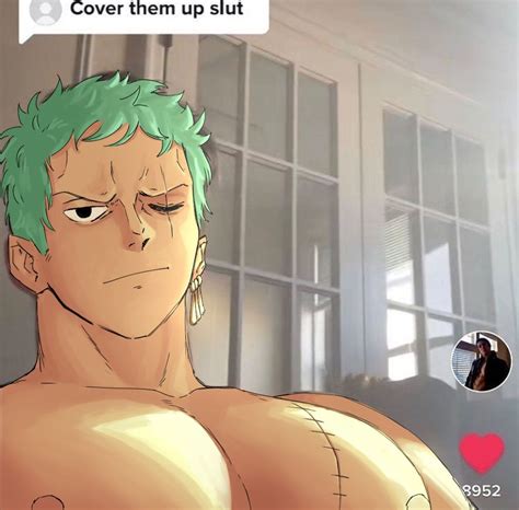 Roronoa Zoro Gay One Piece