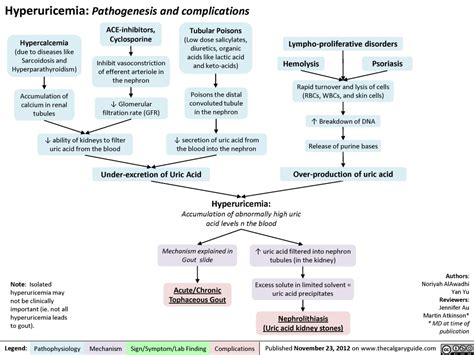 hyperuricemia pathogenesis  complications calgary guidecalgary guide