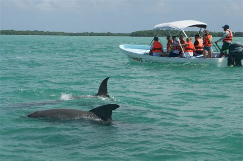 Reisetipps Yucatán: Natur