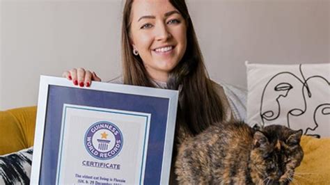 Record-breaking felines: The world's oldest living cat and the oldest ...