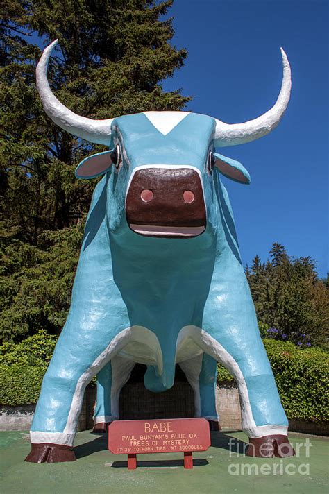 Trees Of Mystery Babe The Blue Ox Photograph By Gregory Dyer Fine Art America