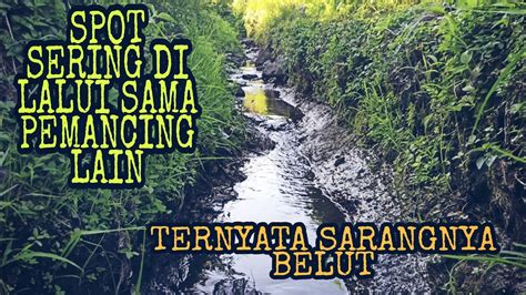 TAK DI SANGKA SPOT YANG SERING DI LALUI PEMANCING LAIN TERNYATA