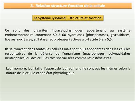 SOLUTION Le Syst Me Lysosomal Structure Et Fonction Biochimie