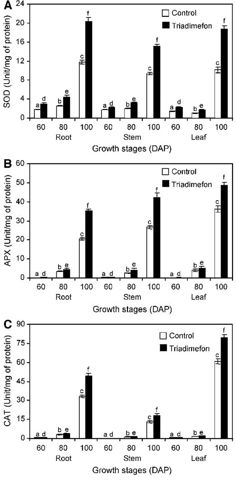 Effect Of Triadimefon On A Sod B Apx And C Cat Unit Mg Of Protein