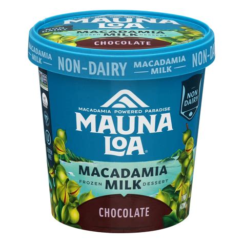 Mauna Loa Macadamia Milk Chocolate Frozen Dessert 1 Pt 1 Pint Shipt