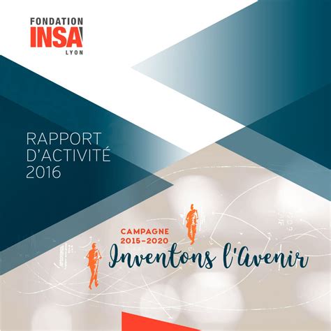 Calam O Fondation Insa Lyon Rapport D Activit