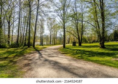 Deer Lake Park Walking Trails Burnaby Stock Photo 2164524187 | Shutterstock