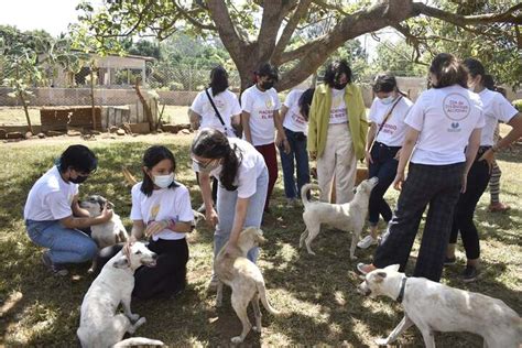 ¿cómo Proteger Y Cuidar A Los Animales