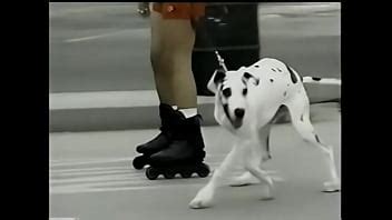 Nikki Brantz Pornstar Page XVIDEOS