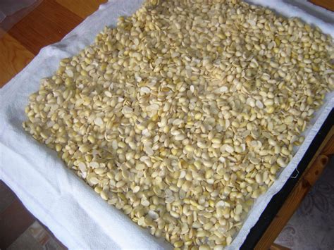 cara membuat tempe orek basah sederhana 29
