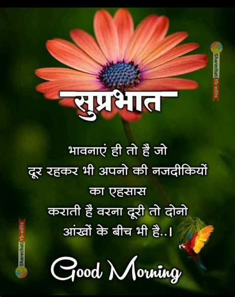 Pin By Dinesh Kumar Pandey On Su Prabhat Happy Good Morning Quotes