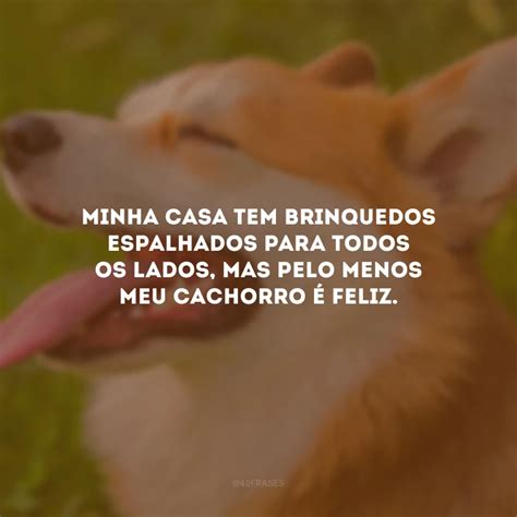 Frases De Amor Para Cachorro Que Enaltecem Seu C Opanheiro