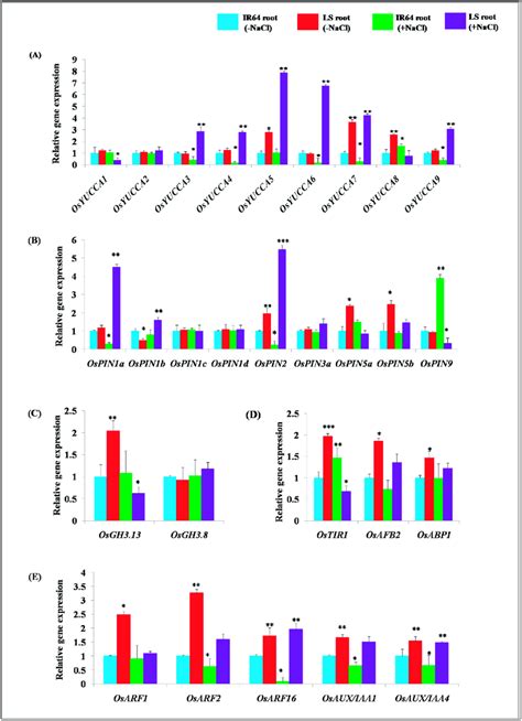 Real Time Gene Expression Analysis Of Auxin Homeostasis Genes Under