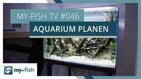 Ein Neues Aquarium Planen My Fish Tv Youtube