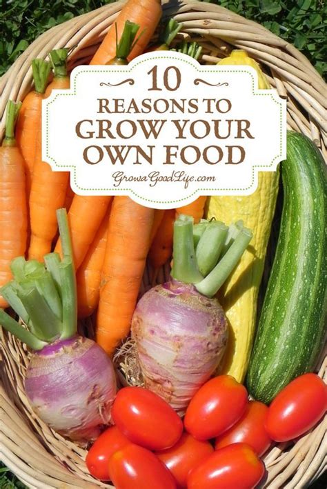 10 Reasons To Grow A Vegetable Garden Growing Organic Food Organic