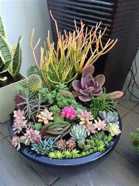 30+ Indoor Succulent Arrangement Ideas – DECOOMO