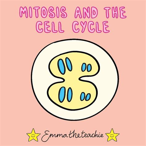 👩‍👧‍👧 Mitosis Is When A Parent Cell Splits Into Two Daughter Cells I