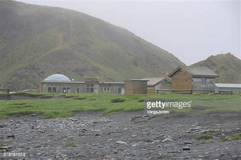 Macquarie Island Station Photos and Premium High Res Pictures - Getty ...