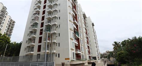 ETHOS BUILD WITH US CONTACT