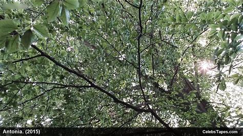 Free Hairy Celebrity Pussy Porn Videos Xhamster