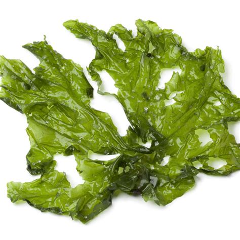 Sea Lettuce Seaweed 50g