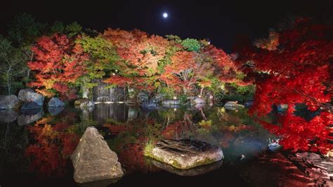 Autumn Leaves and Waterfall of Japanese Garden at Night. Stock Photo ...