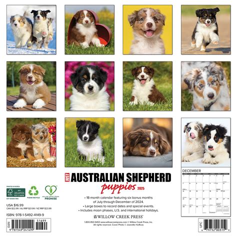 Australian Shepherd Puppies Kalender Kopen Bestel Snel Online