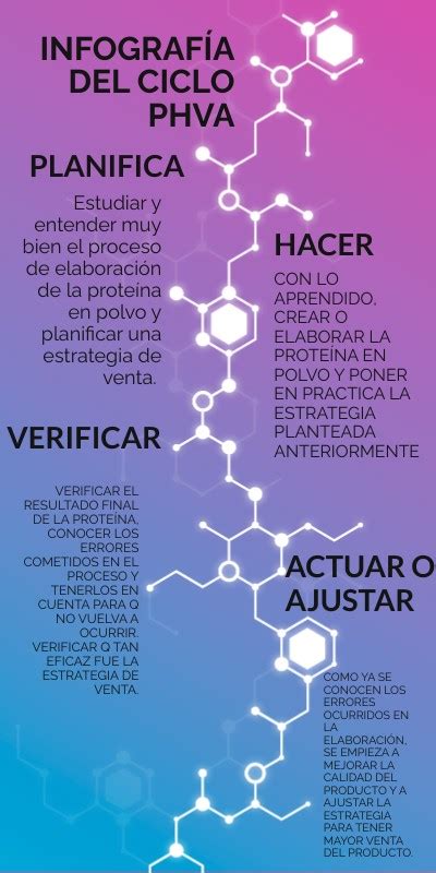 Infografía Del Ciclo Phva