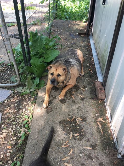 Silent No More Trooper's... - Silent No More Trooper's Story