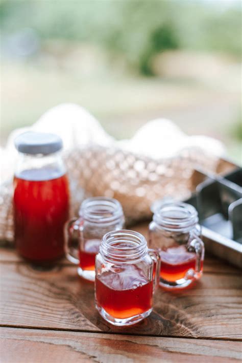 Einfaches Rezept Johannisbeer Likör selber machen mit Ingwer