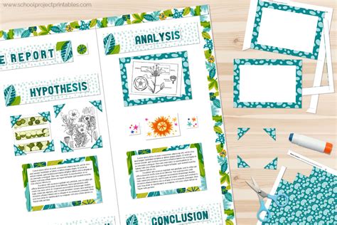 Plant Science Fair - Display Board Poster Project Kit - School Project ...