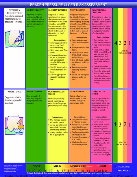 Braden Skin Score Chart