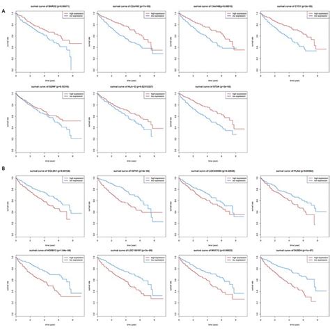 Kaplan Meier Km Survival Curves For A 7 Genes And B 8 Genes Km