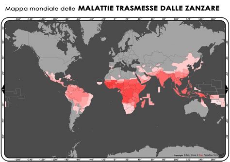 Malattie Trasmesse Delle Zanzare La Mappa Mondiale Delle Zone Pi