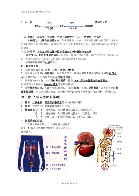 2021年人教版七年级下册生物复习提纲（总结） 21世纪教育网