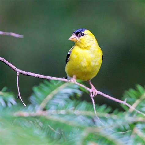 city of cedar rapids assessor 1