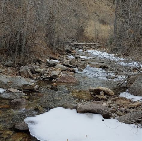 Jarbidge River, NV - Roam + Reel