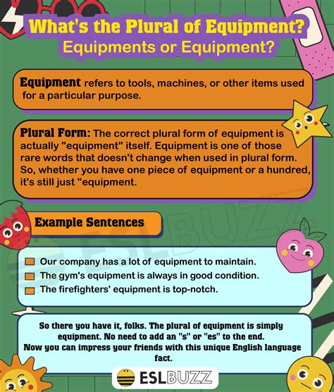 Plural of Equipment: What You Need to Know - ESLBUZZ