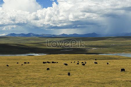 Xinjiang Landscape Images, HD Pictures For Free Vectors Download ...