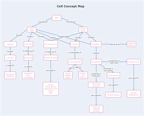 Concept Map Of Cell Cycle