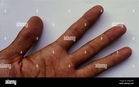 Palm Reading Palmistry Hi Res Stock Photography And Images Alamy