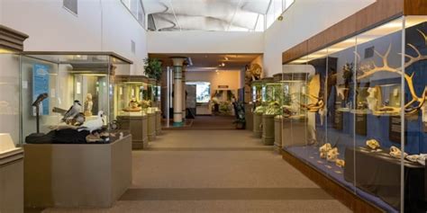 Las Vegas Natural History Museum Tickets 2024 | Book TicketsToDo Online