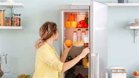 ¿cuántos Watts Consume Un Refrigerador Descubre La Energía Que